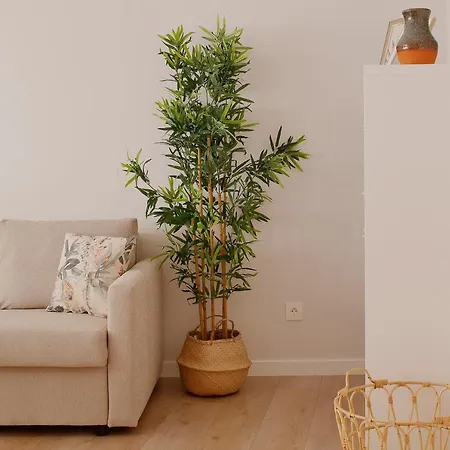 Alojamiento Centro-El Carmen Vut Apartment *